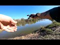 The Seven Day Grind...Lew's Mach 2 Baitcast Combo