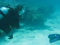 1st trip scuba diving in Islamorada