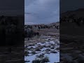 UFO over Colorado