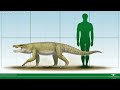 Dentaneosuchus: The Largest Carnivore of Cenozoic Europe