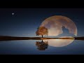 Meditation & Relaxation Music