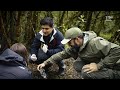 Felipe Braun conoce la ranita de Darwin en el Parque Futangue | | Sobre La Tierra