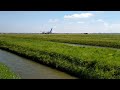 Air Europa 787 departing from Schiphol runway 36L