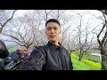 SAKURA RIVERBANK PARK ( 吉見さくら堤公園)                       @agvlogs46