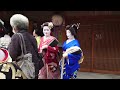 Geishas Walk in Hanamikoji & Minamiza, Gion Kyoto | 人生初！夢だった京都祇園、花見小路！初来日の外国人観光客が舞妓さんに大感動！海外の反応