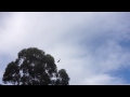 Choppers over Blacktown