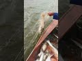 Unique Technical Tools Fish Trap  Of Catching Lot Of Fish🐟🎣#shorts #viral #fishing