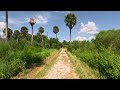 Circle B Bar Reserve Lakeland FL - Walking Tour