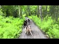 Iditarod Trail Headquarters Alaska - Dog sled ride