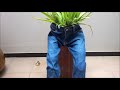 How to Reuse and Upcycle Old Jeans? | Denim DIY Planter Pot