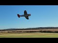 JOHN VHRC  AND HIS  GIANT SCALE P 47 WITH A 3 CYLINDER RADIAL ENGINE WITH LANDING GEAR FAILURE