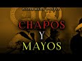 Chapos y Mayos - Panter Belico x Nivel C [Audio Estudio] (2023)