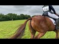 EVENTING IN SOGGY CONDITIONS at Catton Park - Donut's 4th Novice run - Eventing Vlog
