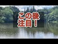 実録　山形県朝日町にある謎の浮島とは？