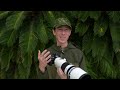 Olympus 150-400mm 1.25x f/4.5 Review for Wildlife/Bird Photography