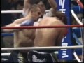 Mirko Filipovic CroCop vs Musashi HL