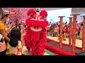 🔴 Acrobatic LION DANCE CNY 2023 - BARONGSAI MAHA VIRYA