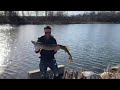 Caught a Musky from Shore!  Muskie Fishing