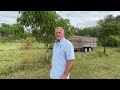 This Guy Knows How To Grow Fruit Trees