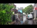 Super heavy rain and strong winds in my village |  Sleep instantly with the sound of heavy rain