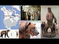 BMO Creative Crypto Video: Naked Bear - NiaGwahe