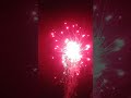 Big Deal firework 180 shot                  #Fireworks #PyroLife