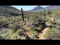 Running down the Red Mountain Rush Trail - 2