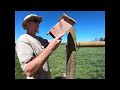 1 Acre Sheep Pen Build Ep: 11 Bluebird Boxes