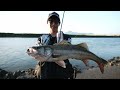 Early Summer Seabass - AzuAzu's Guided Learning【SUBBED】