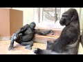 🎉Shabani's 27th Birthday🎉 / A Year's Worth of Drumming and Great Scenes