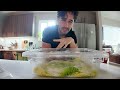 make kimchi at home vlog