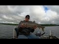 Early Summer Lake Trout | Smashing Backlake Lakers | Quick Silver VS. Bully Spoons