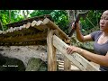 Make a Sturdy Wooden Bridge that is Safe from Flash Floods/ Multi-day Survival Trip, Part 4