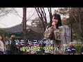 노래한번 배운적없는 우승자🌸 𝗜 아이유 𝗜 이런 엔딩 𝐯𝐨𝐜𝐚𝐥 𝐛𝐲 양다혜 🎵