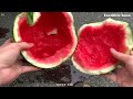 Top 10 Amazing Watermelon Experiment Car VS | Crushing Crunchy & Soft Things by Car | Test Ex