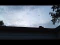 Chimney Swifts in Georgia 8/9/12