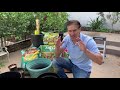 How To Grow Citrus In Containers | Lesson 1 of 4 | UP-POTTING