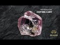 Protea Pink Diamond Auction