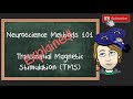 Transcranial Magnetic Stimulation (TMS) explained | Neuroscience Methods 101