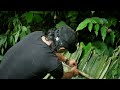 Building a Wilderness Shelter: Hidden Waterfall Adventure | Bushcraft & Survival Skills