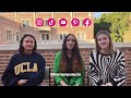 Her Campus Q&A - Everything you need to know about UCLA!!