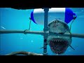 This VR Shark Cage Is ULTRA Realistic! Subside VR