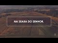 Novo Hinário Adventista • Hino 231• Trabalhar e Orar • (Lyrics)