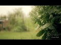 Longing For The Spring Rain | Piano Soaking Music | Christian piano | Instrumental Music | Worship