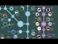 Evolutionary Tree of Life | Episode 1 - Early Life, Invertebrates & Fish