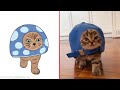 😂Cat Memes: Skibidi Toilet Cat and Funniest Dogs (updated) 😅 Trending Funny Animals 😹