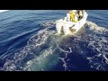 Extreme Fishing Hawaii ~ South Maui Fish Company