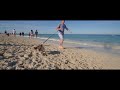 Dog Beach - 2 Hour Slow TV