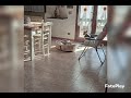 Respect #milù  #animals #doglover #animallover #dog #animalrespect  #viralvideo #viralshorts