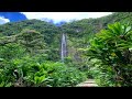 Inner Peace -Yoga Meditation -Jungle And Water Sounds #16